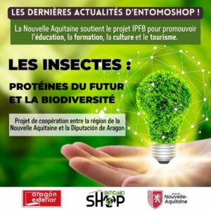 Les dernières actualités d'Entomoshop sont arrivées !