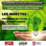 IPFB les insectes protéines du futur et biodiversité