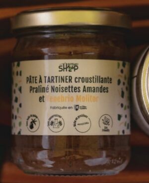 Pâte à tartiner Croustillante Noisettes amandes et Tenebrio Molitor