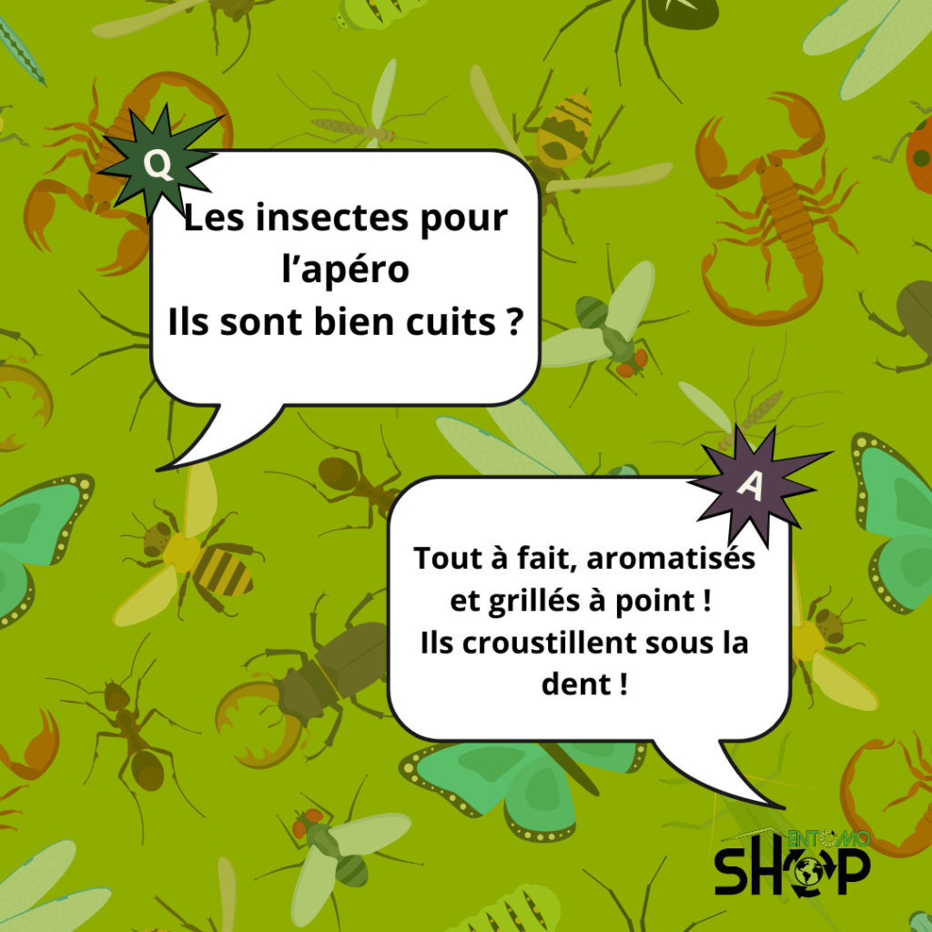 Les insectes comestibles