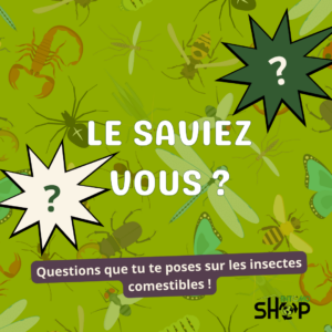 Le saviez-vous : Les insectes comestibles ?