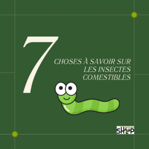 🌱7 choses à savoir sur les insectes comestibles 🐛 !