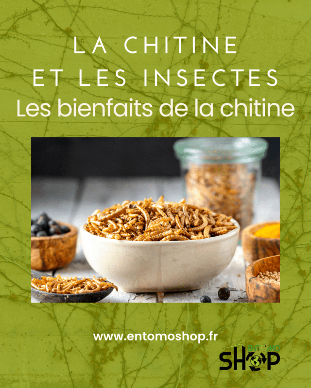 La chitine est un polymère naturel présent dans de nombreux organismes, notamment les insectes🐛, les crustacés 🦀et les champignons 🍄. Elle est une composante importante de l'exosquelette des insectes🐜, qui leur fournit une protection et un soutien structurel.