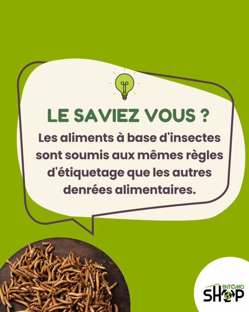 ⚖️ Étiquetage des aliments à base d'insectes : tout ce qu'il faut savoir ! ⚖️