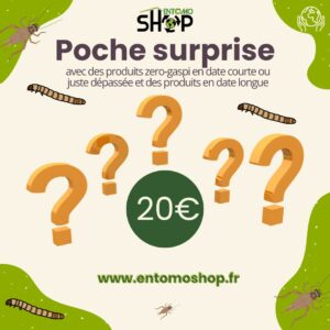 Surprise aux insectes comestibles