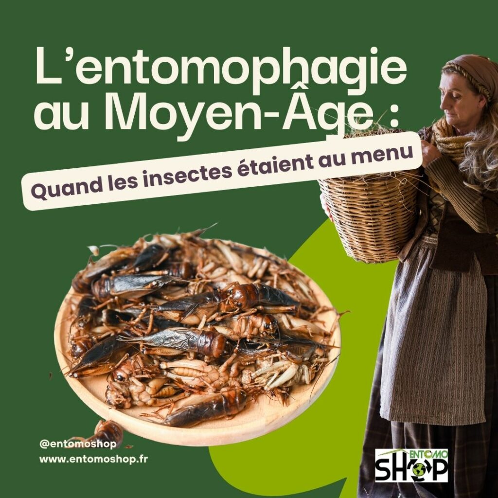 🧐L'entomophagie au Moyen-Âge : Quand les insectes 🐛étaient au menu