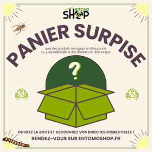 Prêt(e) à tester l'entomophagie ? Notre panier surprise regorge de saveurs inattendues et de produits locaux. Crackers, tapenades, insectes entiers...