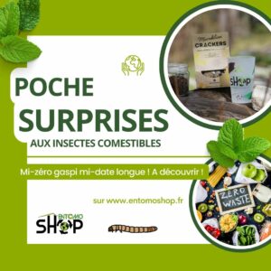 Surprise aux insectes comestibles