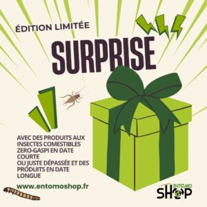 Surprise aux insectes comestibles