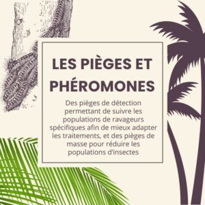 LES PIEGES ET PHEROMONES