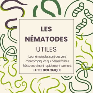 LES NEMATODES