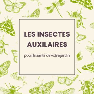 INSECTES AUXILIAIRES