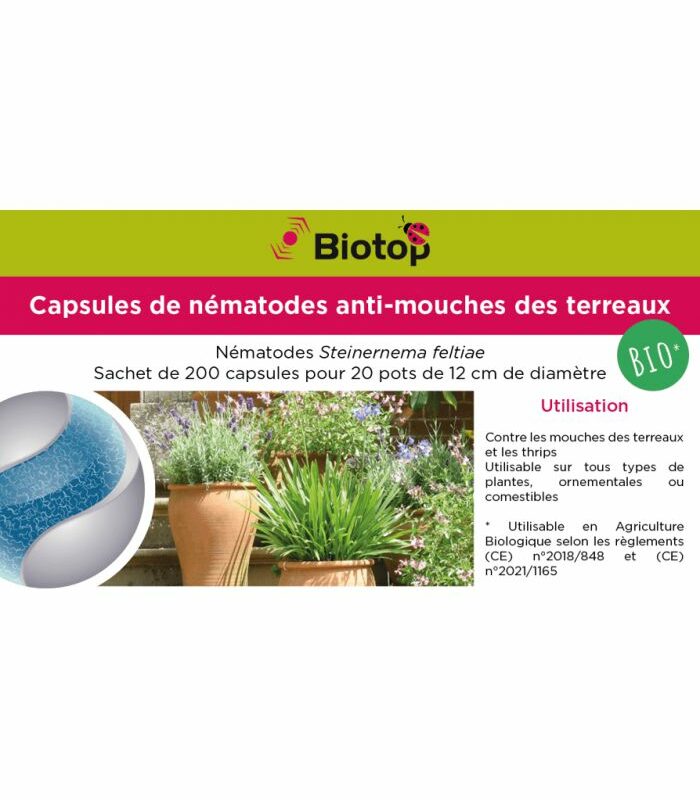 CAPSULES DE NÉMATODES ANTI MOUCHE DU TERREAU