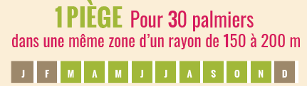 Dès que le piège commence à se remplir nettoyezleen renouvelant le mélange (eau + savon liquide + huile
ménagère).